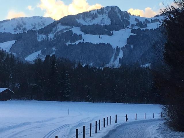 Alphirt Ferienwohnungen Fischen im Allgaeu Exterior foto