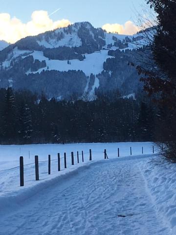 Alphirt Ferienwohnungen Fischen im Allgaeu Exterior foto